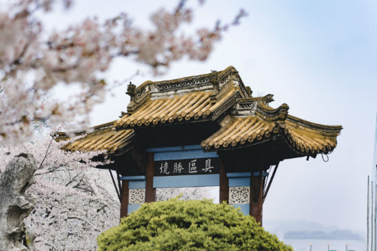 西南大學(xué)專升本報名截止時間是什么時候？