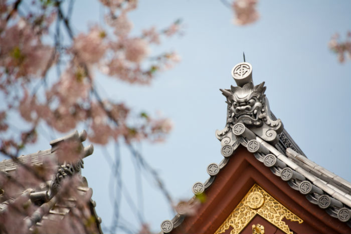 平頂山提升學(xué)歷方式哪種好？學(xué)歷提升招生學(xué)校有多少？