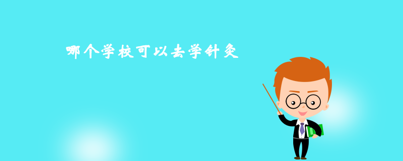 那個學?？梢匀W針灸