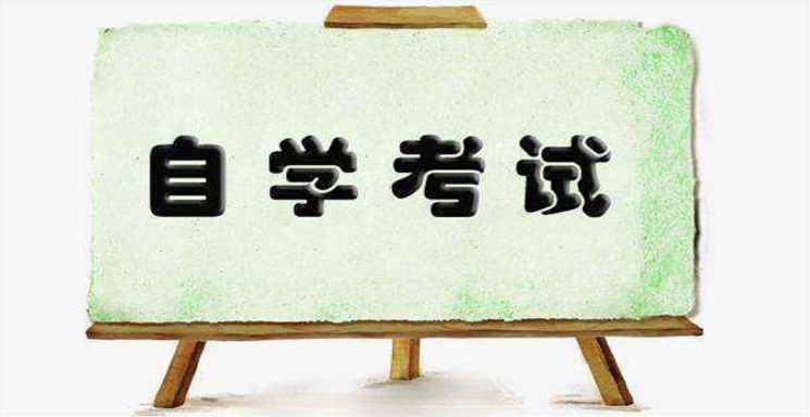 自考如何高效背書？有什么經(jīng)驗技巧嗎？