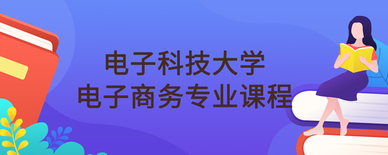 電子科技大學網(wǎng)絡教育電子商務專業(yè)課程科目有什么
