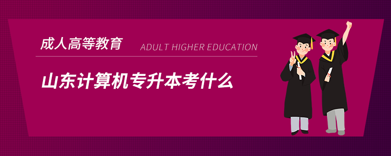 山東計算機(jī)專升本考什么