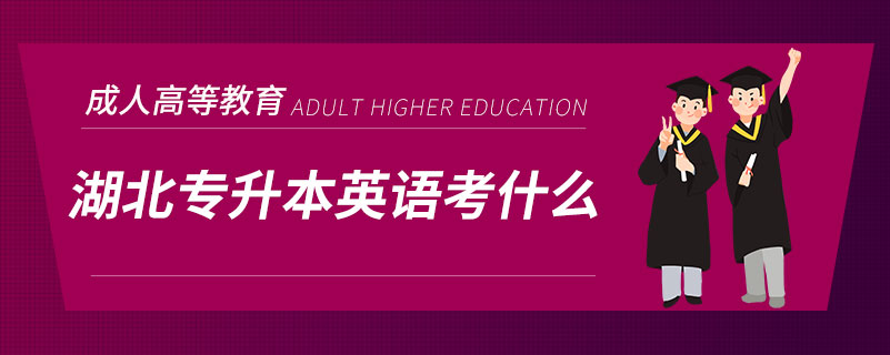 湖北專(zhuān)升本英語(yǔ)考什么