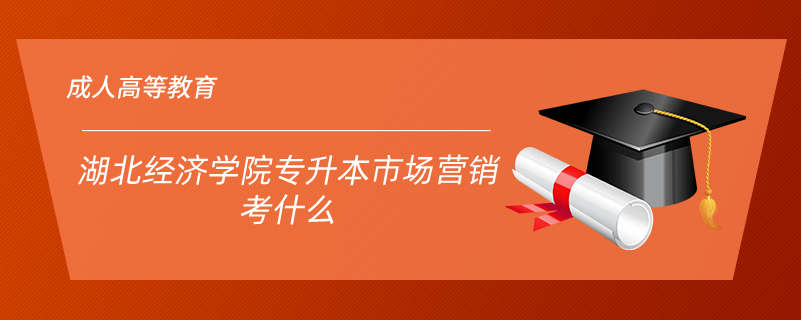 湖北經(jīng)濟學(xué)院專升本市場營銷考什么
