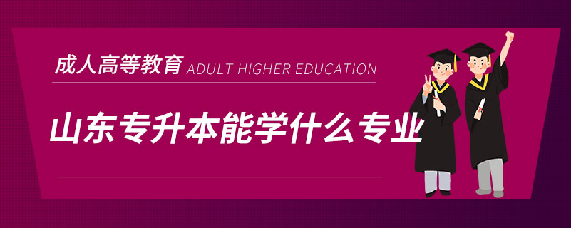 山東專(zhuān)升本能學(xué)什么專(zhuān)業(yè)