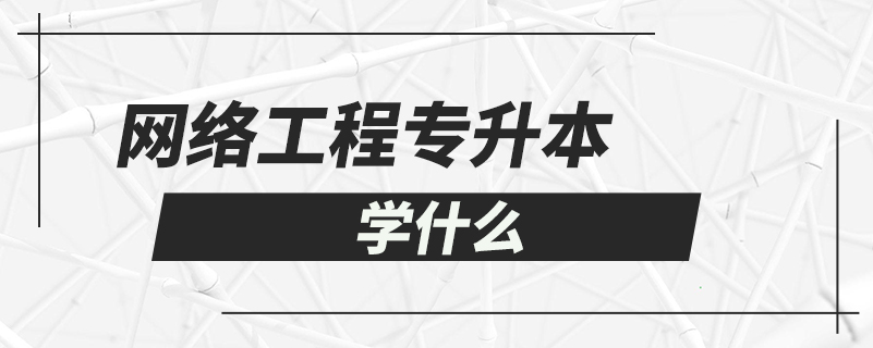 網(wǎng)絡(luò)工程專升本學什么