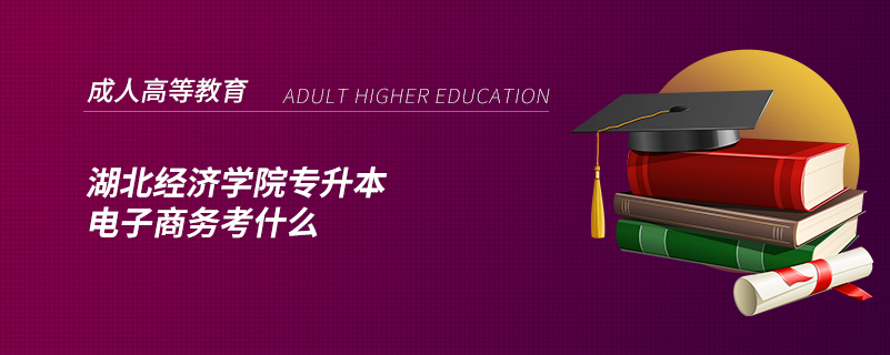 湖北經濟學院專升本電子商務考什么