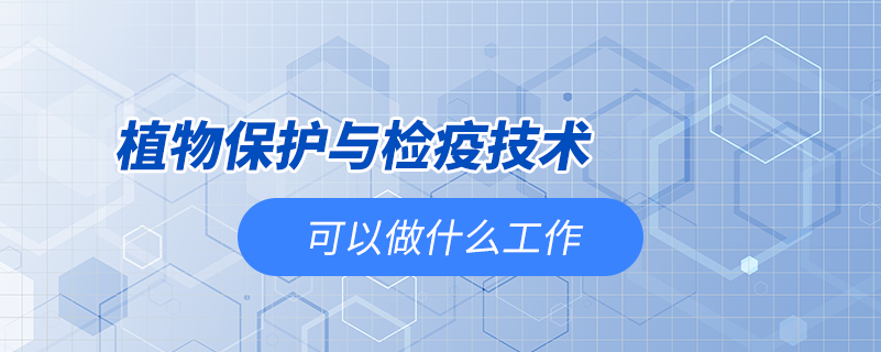 植物保護與檢疫技術可以做什么工作