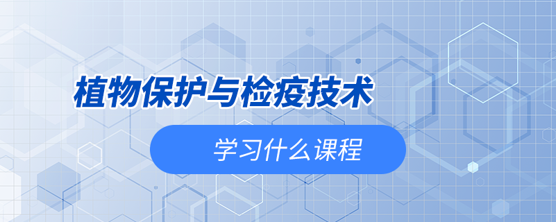 植物保護與檢疫技術(shù)學(xué)什么