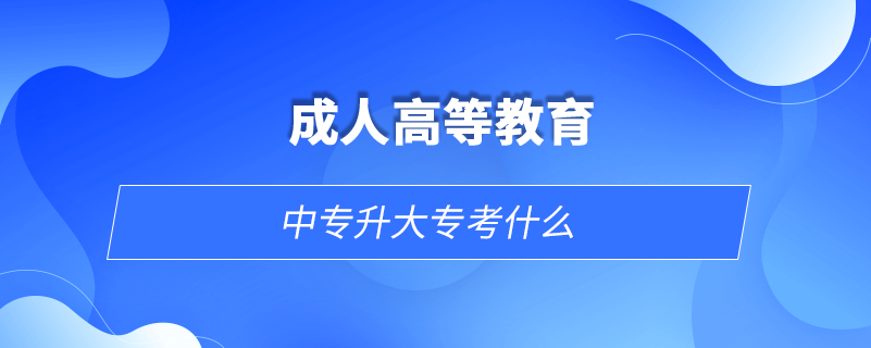 中專升大?？际裁? /></p><p style=
