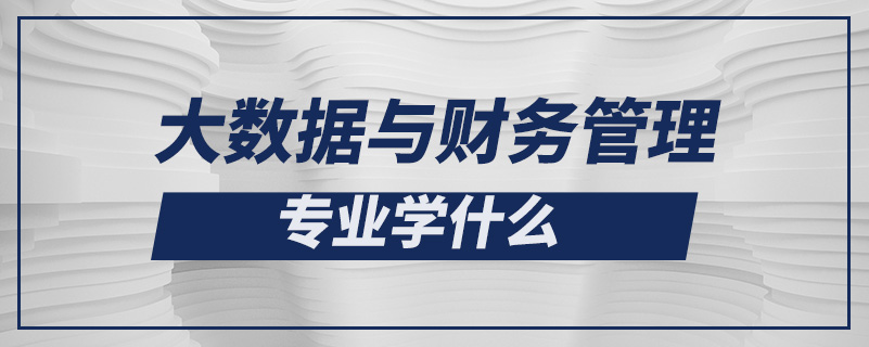 大數(shù)據(jù)與財務管理專業(yè)學什么