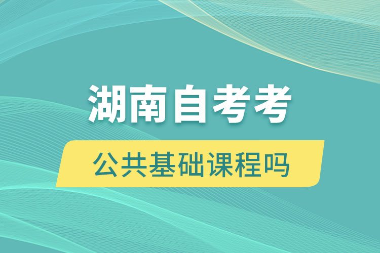 湖南自考考公共基礎課程嗎