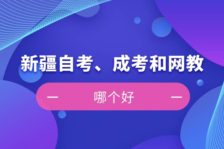 新疆自考、成考和網(wǎng)教哪個好