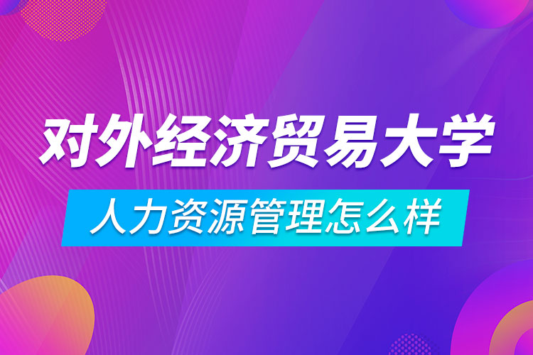 對外經(jīng)濟貿(mào)易大學人力資源管理專業(yè)怎么樣