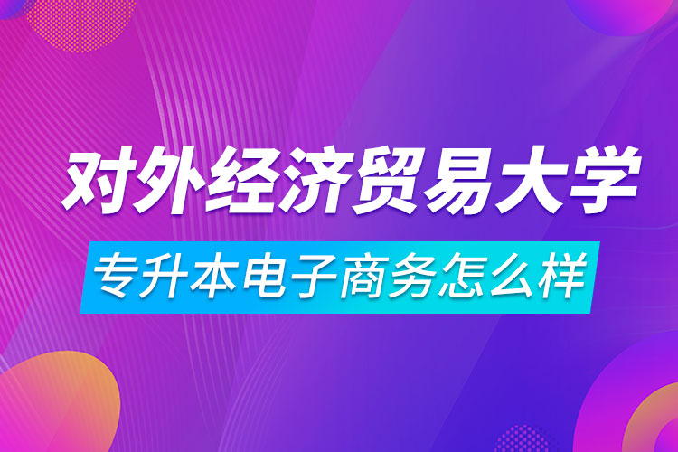 對外經(jīng)濟貿(mào)易大學(xué)專升本電子商務(wù)怎么樣