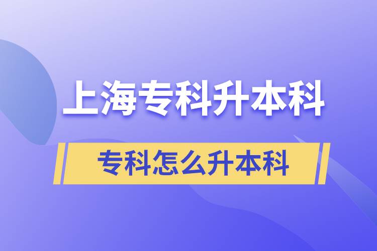 上海?？圃趺瓷究? /></p><p style=