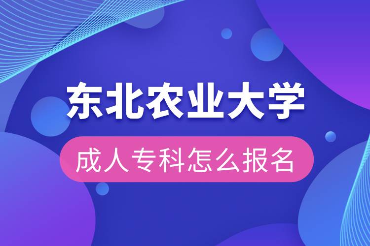 東北農(nóng)業(yè)大學(xué)成人?？圃趺磮?bào)名