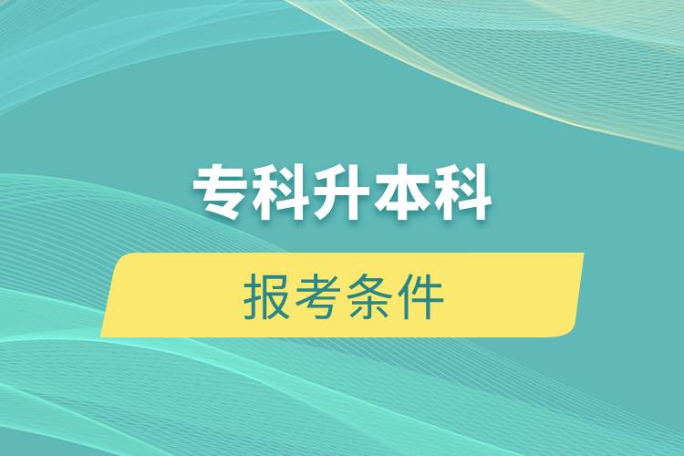 ?？粕究茍罂紬l件