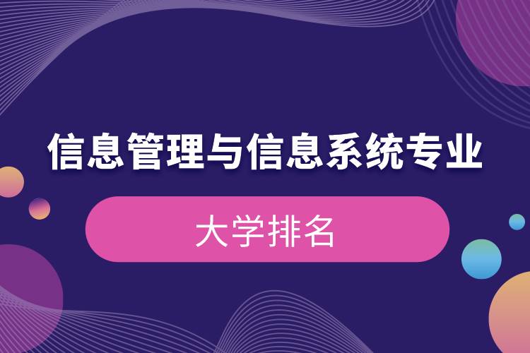 信息管理與信息系統(tǒng)專業(yè)的大學排名