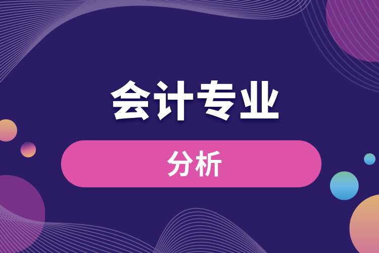 會計(jì)專業(yè)分析
