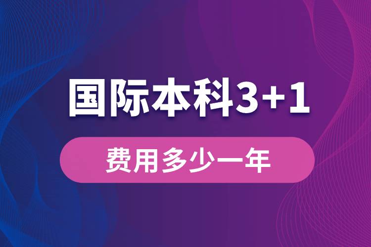 國(guó)際本科3+1費(fèi)用多少一年