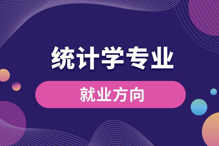 統(tǒng)計學(xué)專業(yè)的就業(yè)方向