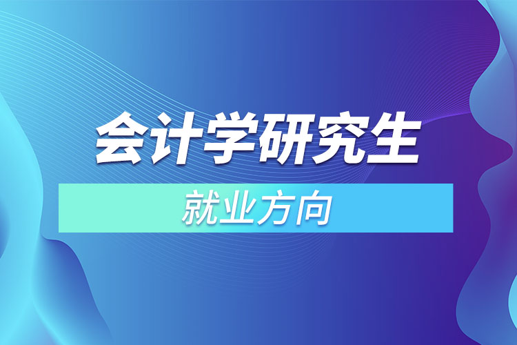 會計(jì)學(xué)研究生就業(yè)方向
