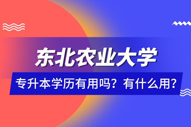 東北農(nóng)業(yè)大學(xué)專升本學(xué)歷有用嗎？有什么用？