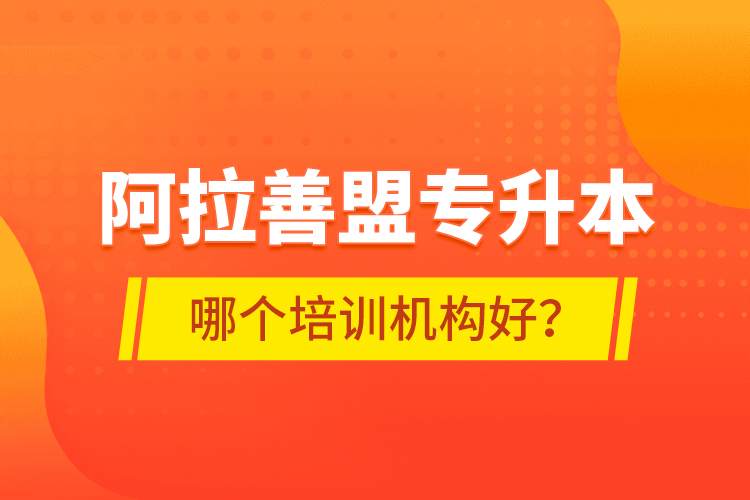 阿拉善盟專升本哪個培訓(xùn)機構(gòu)好？