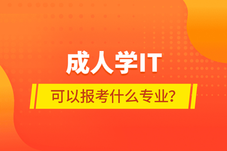 成人學IT可以報考什么專業(yè)？