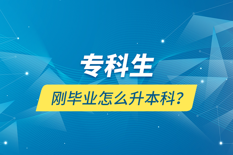 專科生剛畢業(yè)怎么升本科？
