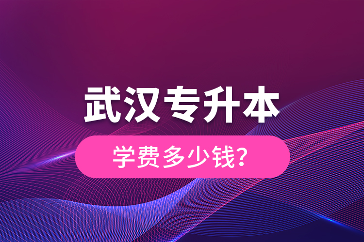 武漢專升本學(xué)費(fèi)多少錢？