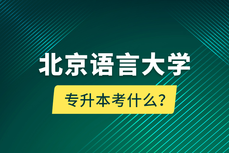 北京語言大學專升本考什么？