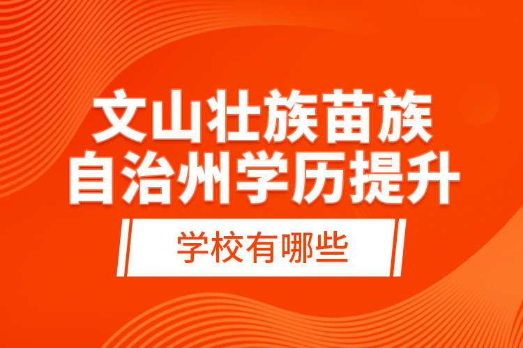 文山壯族苗族自治州學(xué)歷提升學(xué)校有哪些？