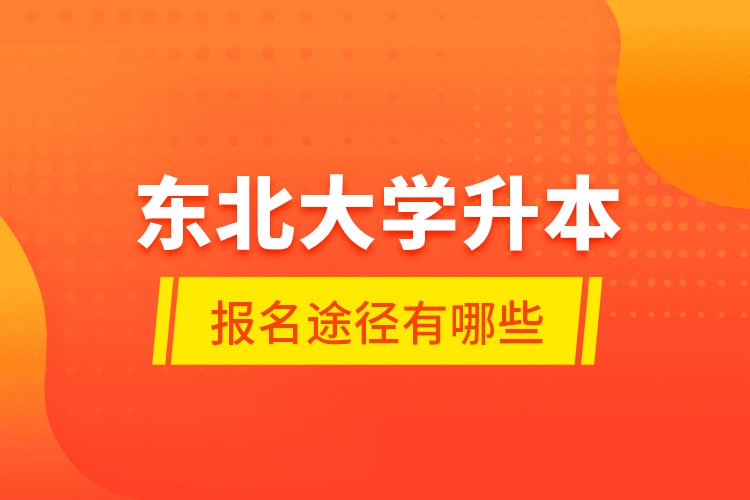 東北大學升本報名途徑有哪些？