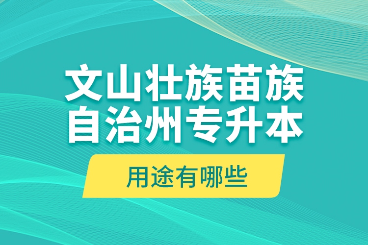文山壯族苗族自治州專升本的用途有哪些？