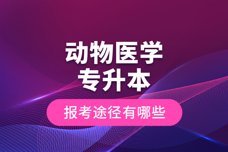 動(dòng)物醫(yī)學(xué)專升本的報(bào)考途徑有哪些？
