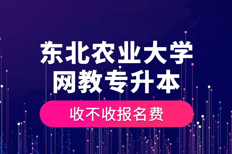 東北農(nóng)業(yè)大學(xué)網(wǎng)教專升本收不收?qǐng)?bào)名費(fèi)？