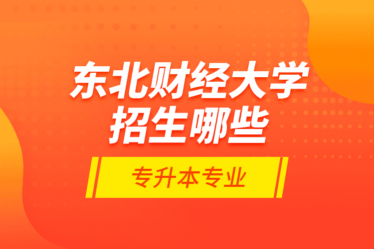 東北財(cái)經(jīng)大學(xué)招生哪些專升本專業(yè)？
