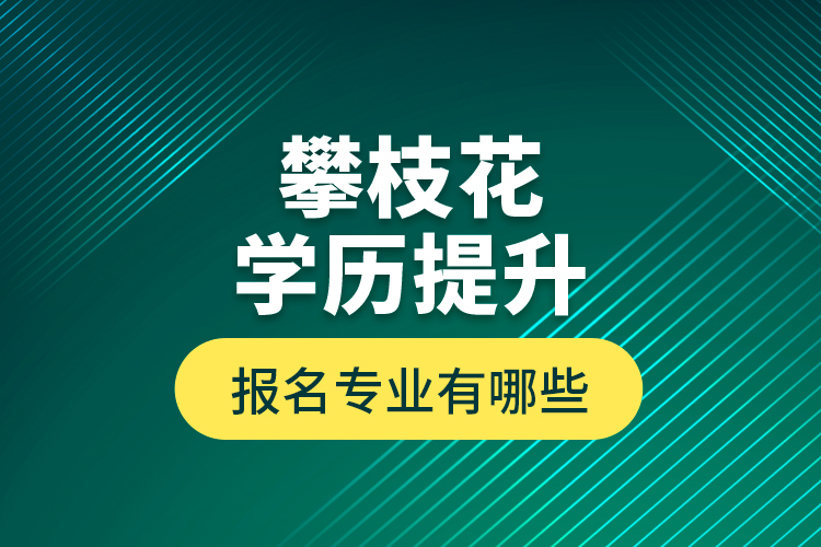 攀枝花學(xué)歷提升報(bào)名專業(yè)有哪些？